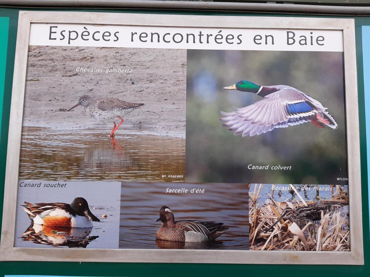 Les Obiones, Vue Laterale Mer, Fort Mahon Plage, Magnifique Studio Cabine 4P, Avec Balcon , Parking Prive Gratuit, Wifi, Classe 2 Etoiles, Exposition Plein Sud En Baie De Somme Luaran gambar