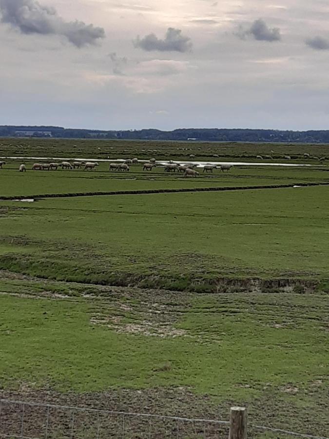 Les Obiones, Vue Laterale Mer, Fort Mahon Plage, Magnifique Studio Cabine 4P, Avec Balcon , Parking Prive Gratuit, Wifi, Classe 2 Etoiles, Exposition Plein Sud En Baie De Somme Luaran gambar