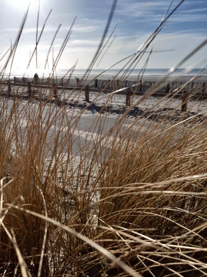 Les Obiones, Vue Laterale Mer, Fort Mahon Plage, Magnifique Studio Cabine 4P, Avec Balcon , Parking Prive Gratuit, Wifi, Classe 2 Etoiles, Exposition Plein Sud En Baie De Somme Luaran gambar